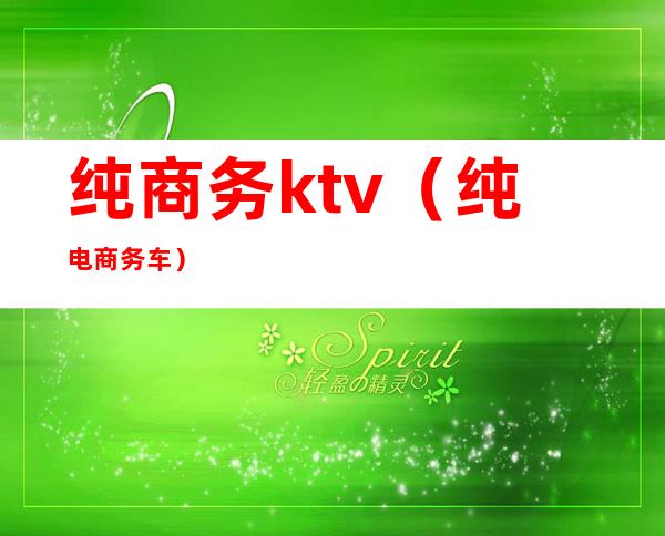 纯商务ktv（纯电商务车）