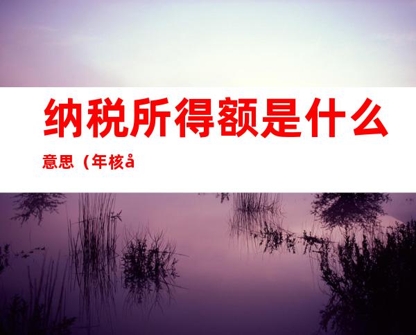 纳税所得额是什么意思（年核定应纳税所得额是什么意思）