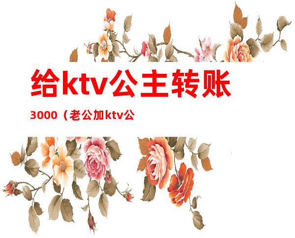 给ktv公主转账3000（老公加ktv公主的微信转账1000）