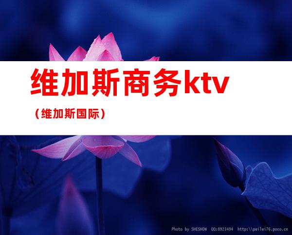 维加斯商务ktv（维加斯国际）