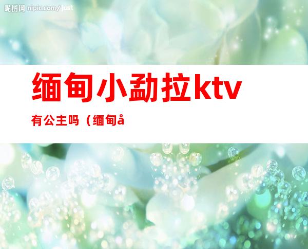 缅甸小勐拉ktv有公主吗（缅甸小勐拉包房消费）