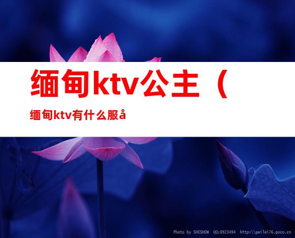 缅甸ktv公主（缅甸ktv有什么服务）