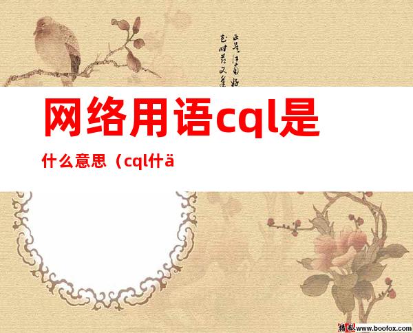 网络用语cql是什么意思（cql什么意思）