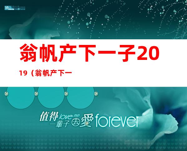 翁帆产下一子2019（翁帆产下一子2019绿灯转黄灯过违章吗）