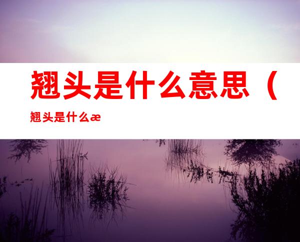 翘头是什么意思（翘头是什么意思?）