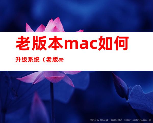 老版本mac如何升级系统（老版本mac如何升级系统11）