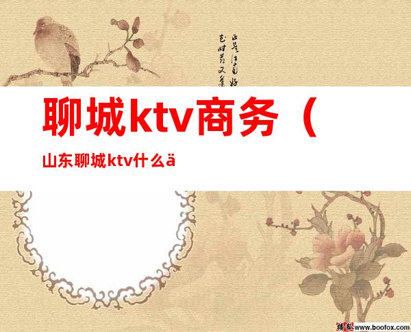 聊城ktv商务（山东聊城ktv什么价格）