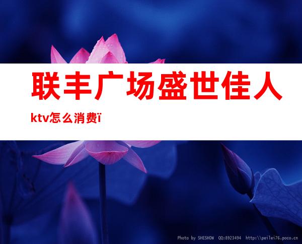 联丰广场盛世佳人ktv怎么消费（盛世佳人ktv怎么样）