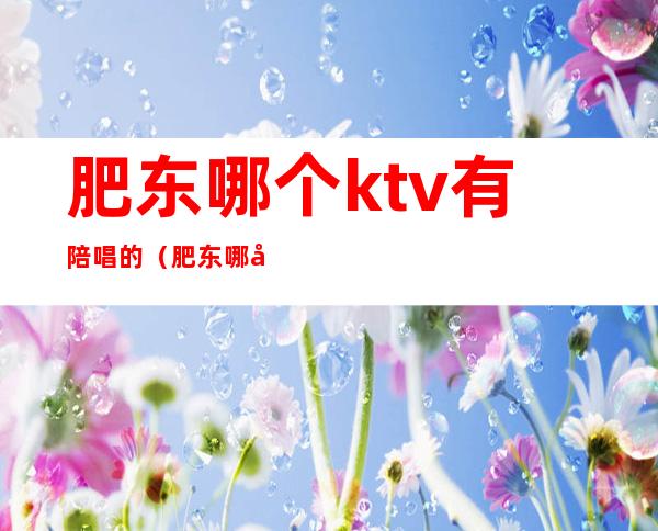 肥东哪个ktv有陪唱的（肥东哪家ktv有公主）