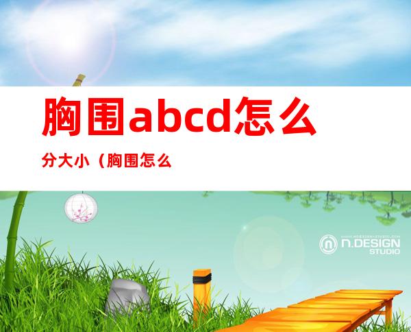 胸围abcd怎么分大小（胸围怎么分为abcd）