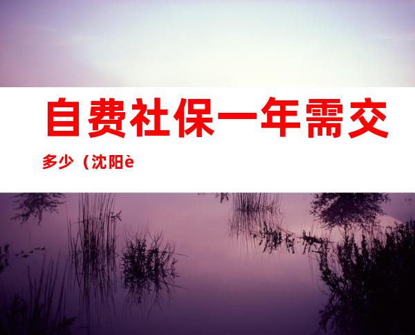 自费社保一年需交多少（沈阳自费社保一年需交多少）