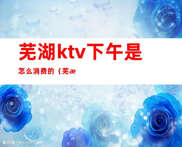 芜湖ktv下午是怎么消费的（芜湖ktv小费多少）