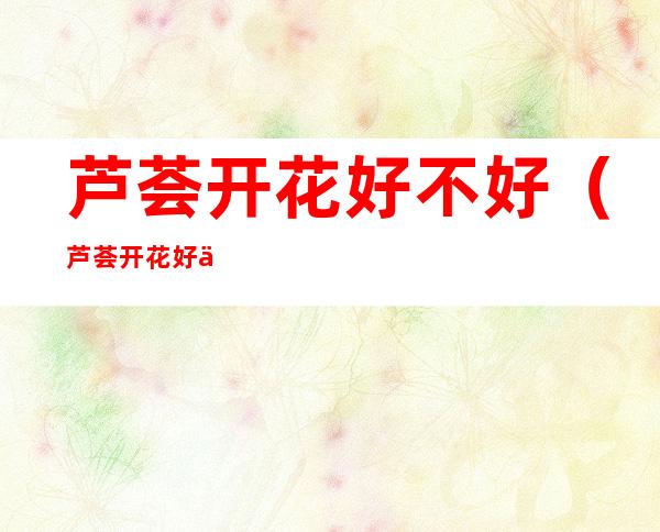 芦荟开花好不好（芦荟开花好不好看如何）