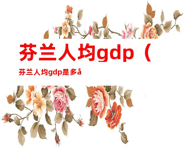 芬兰人均gdp（芬兰人均gdp是多少）