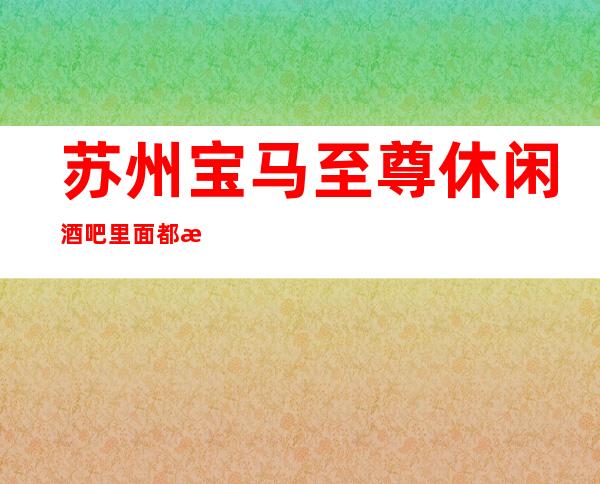 苏州宝马至尊休闲酒吧里面都是一等一的高档次高颜子！