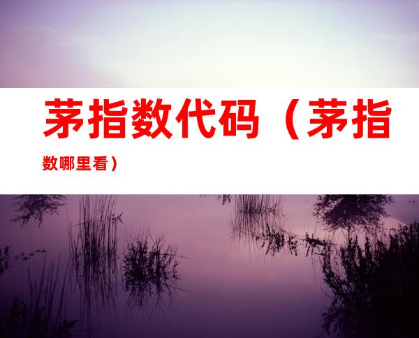 茅指数代码（茅指数哪里看）