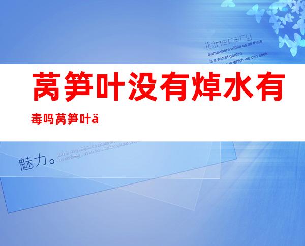 莴笋叶没有焯水有毒吗莴笋叶一定要焯水吗（莴笋叶没焯水吃了对身体有害吗）