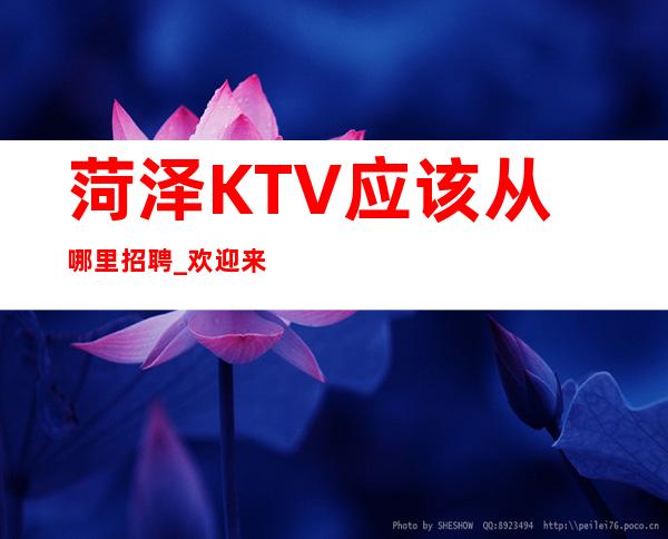 菏泽KTV应该从哪里招聘_欢迎来了解菏泽夜总会的招聘信息？