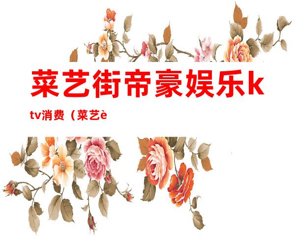 菜艺街帝豪娱乐ktv消费（菜艺街帝豪娱乐ktv消费）