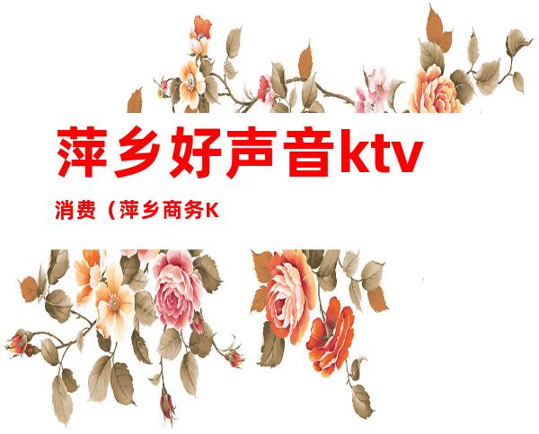 萍乡好声音ktv消费（萍乡商务KTV）