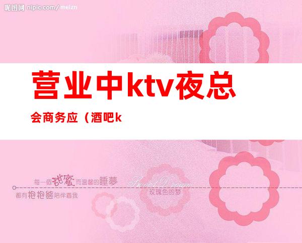 营业中ktv夜总会商务应（酒吧ktv夜总会）