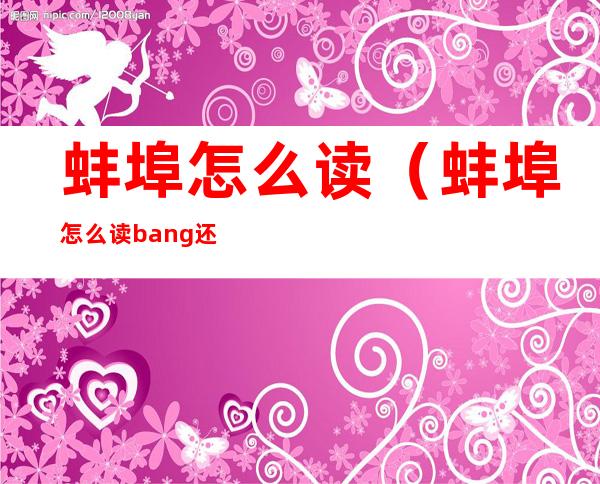 蚌埠怎么读（蚌埠怎么读bang还是beng）