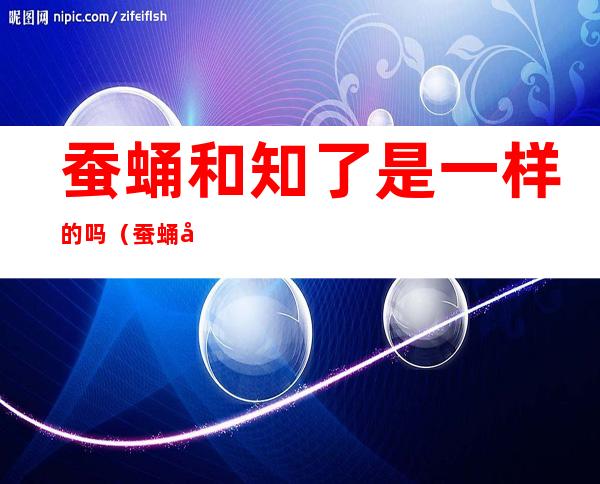 蚕蛹和知了是一样的吗（蚕蛹和知了有什么区别）