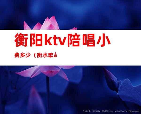 衡阳ktv陪唱小费多少（衡水歌厅陪唱）