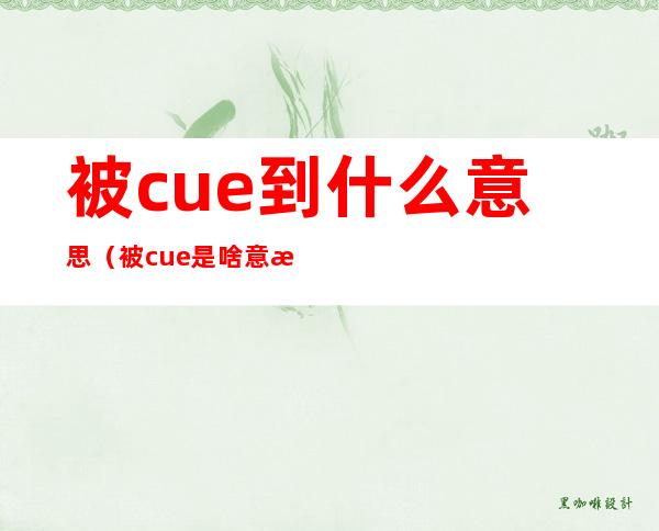 被cue到什么意思（被cue是啥意思）