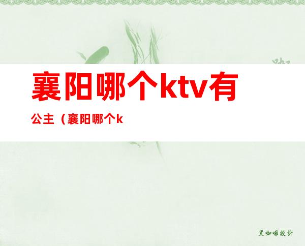 襄阳哪个ktv有公主（襄阳哪个ktv好玩）