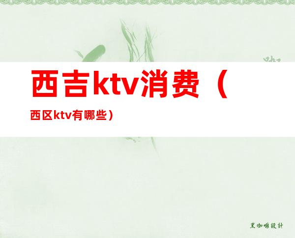 西吉ktv消费（西区ktv有哪些）