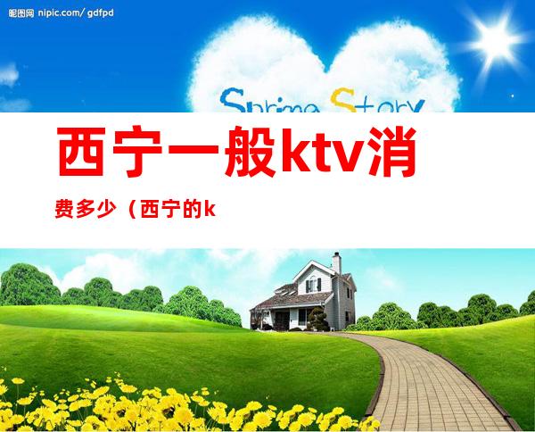 西宁一般ktv消费多少（西宁的ktv消费水平）