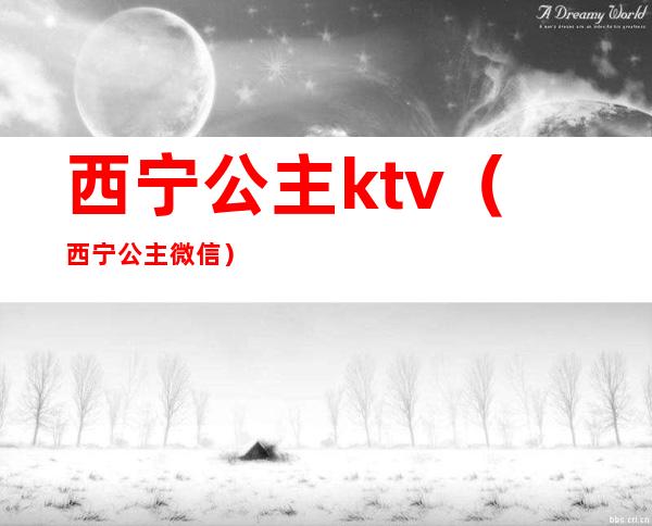 西宁公主ktv（西宁公主微信）