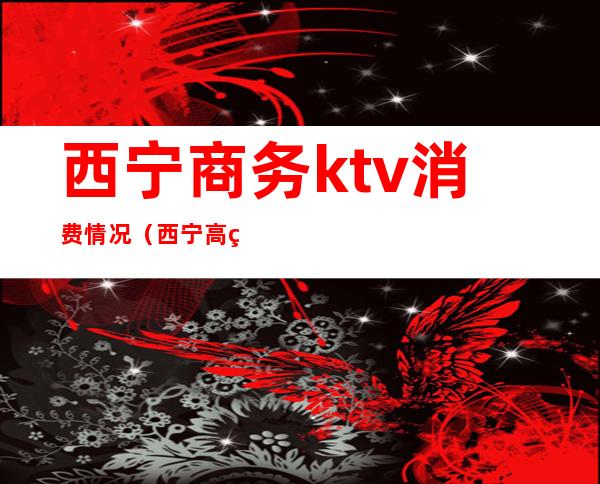 西宁商务ktv消费情况（西宁高端KTV）