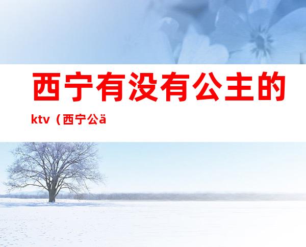 西宁有没有公主的ktv（西宁公主联系方式）