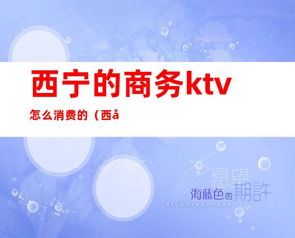 西宁的商务ktv怎么消费的（西宁ktv哪里比较便宜）