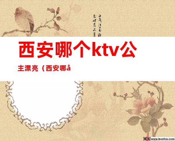 西安哪个ktv公主漂亮（西安哪家ktv公主好看）