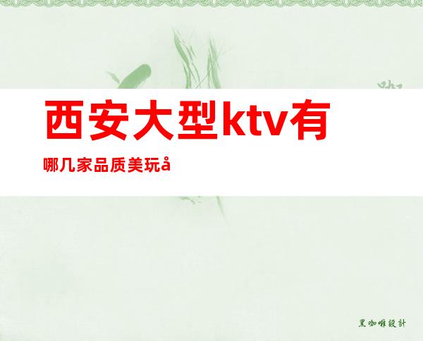 西安大型ktv有哪几家品质美玩出新花样