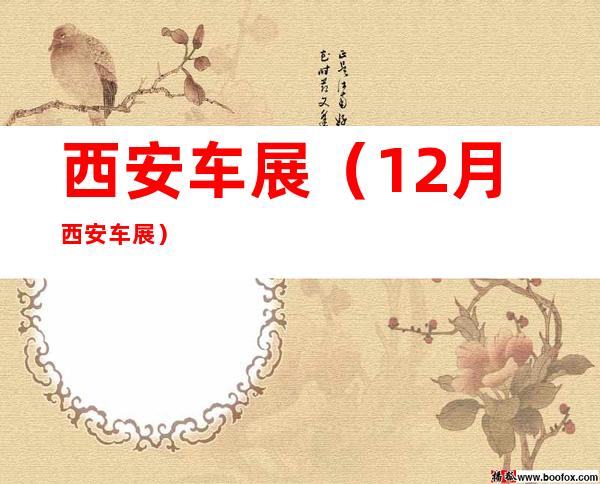 西安车展（12月西安车展）