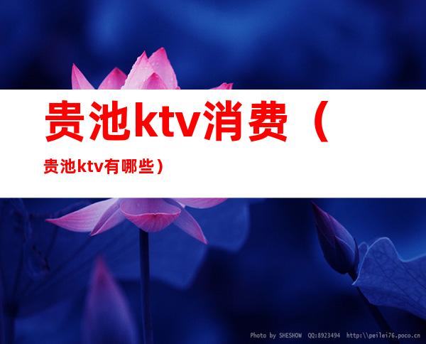 贵池ktv消费（贵池ktv有哪些）