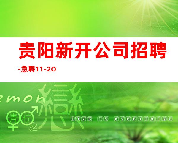 贵阳新开公司招聘-急聘11-2O