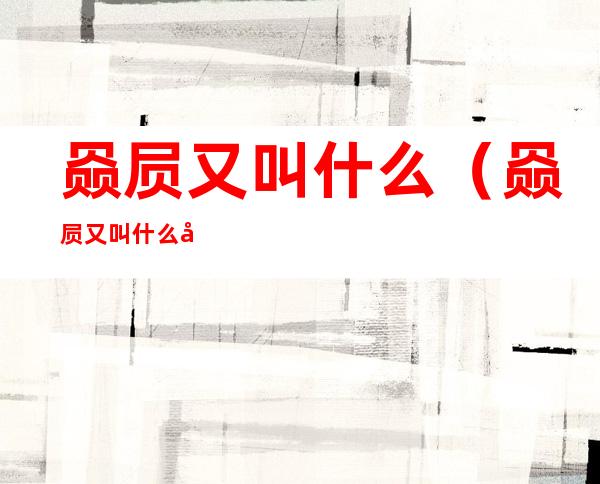 赑屃又叫什么（赑屃又叫什么名字）