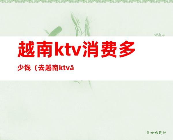 越南ktv消费多少钱（去越南ktv一般消费多少）