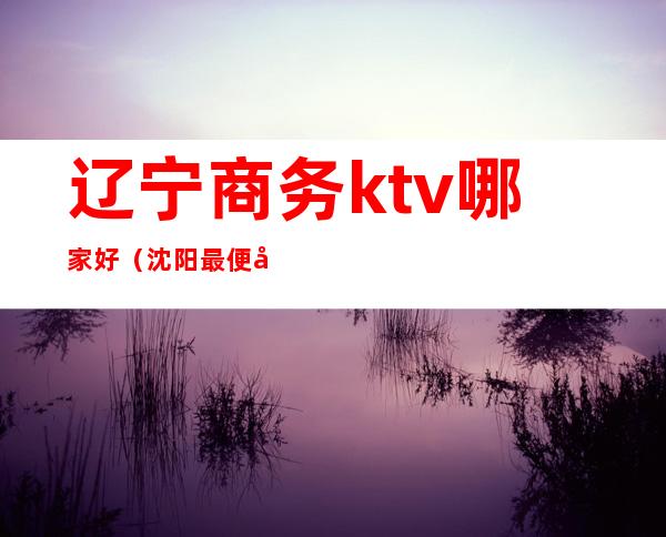 辽宁商务ktv哪家好（沈阳最便宜的商务KTV）