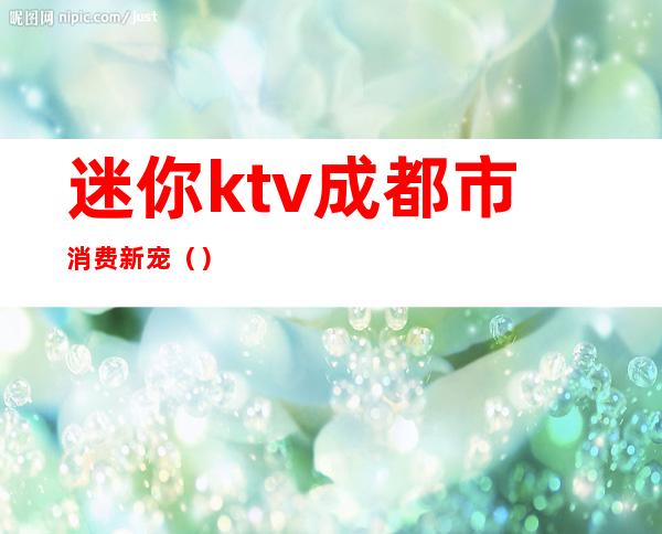 迷你ktv成都市消费新宠（）