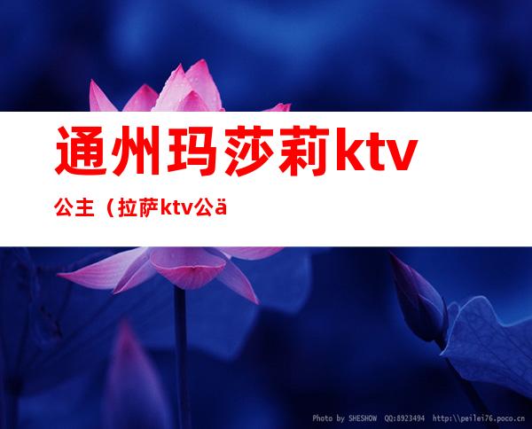 通州玛莎莉ktv公主（拉萨ktv公主）