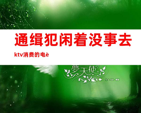 通缉犯闲着没事去ktv消费的电视剧-推荐几部逃亡的通缉犯电视剧，类似无处藏身，小弟在这里谢谢了，满意给分