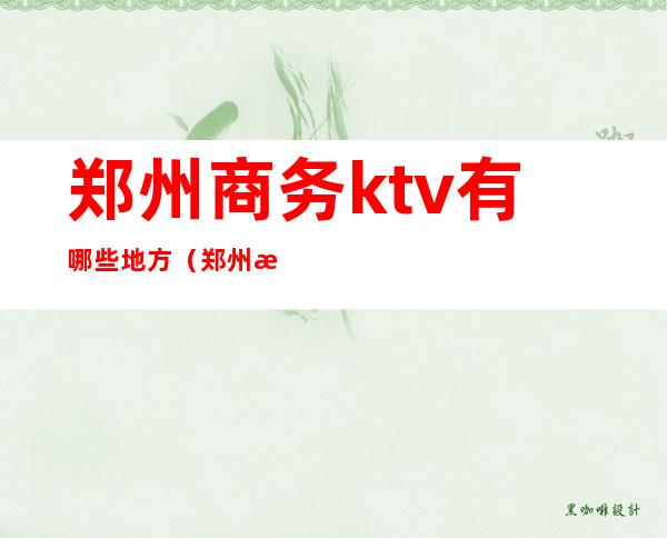 郑州商务ktv有哪些地方（郑州有特色的ktv）