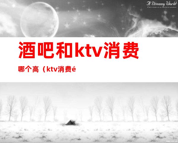 酒吧和ktv消费哪个高（ktv消费高吗）