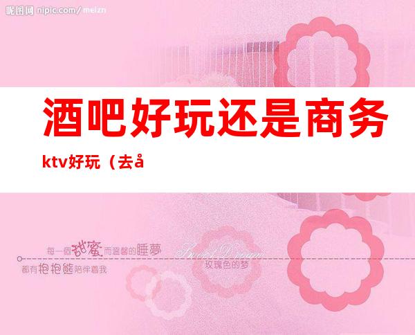 酒吧好玩还是商务ktv好玩（去商务ktv上班好还是酒吧好）